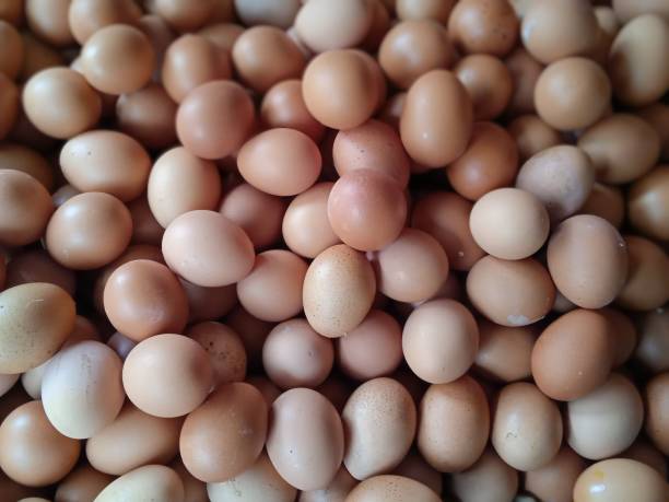 istock Image of a lot of eggs 2193381444
