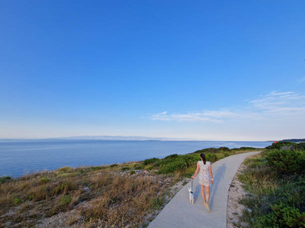 istock Scenic Walk by the Ocean with the dog 2193381467