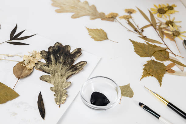 istock Handmade from leaves and paints. Preparations for frame craft from leaves with paints, brushes. Herbarium of dried different plants and flowers placed on paper. 2193384290