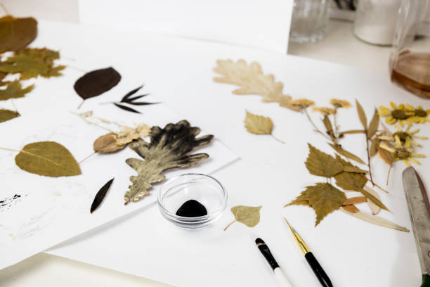 istock Handmade from leaves and paints. Preparations for frame craft from leaves with paints, brushes. Herbarium of dried different plants and flowers placed on paper. 2193384291