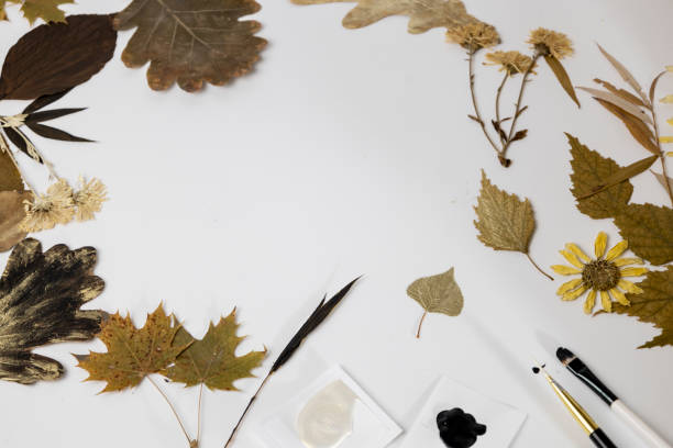 istock Handmade from leaves and paints. Preparations for frame craft from leaves with paints, brushes. Herbarium of dried different plants and flowers placed on paper. 2193384299