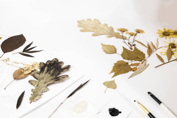 istock Handmade from leaves and paints. Preparations for frame craft from leaves with paints, brushes. Herbarium of dried different plants and flowers placed on paper. 2193384301