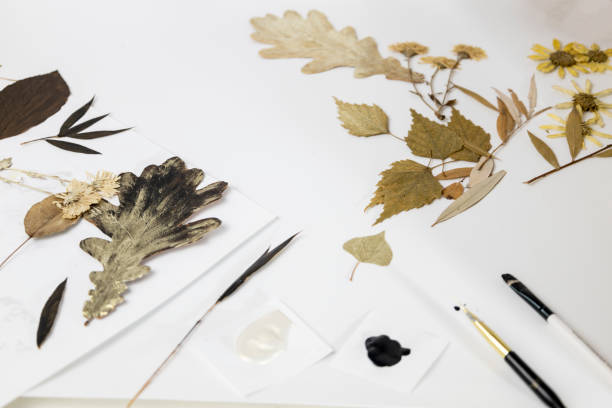 istock Handmade from leaves and paints. Preparations for frame craft from leaves with paints, brushes. Herbarium of dried different plants and flowers placed on paper. 2193384303