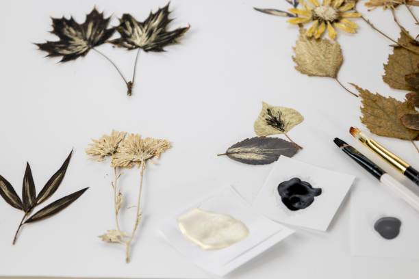 istock Handmade from leaves and paints. Preparations for frame craft from leaves with paints, brushes. Herbarium of dried different plants and flowers placed on paper. 2193384305