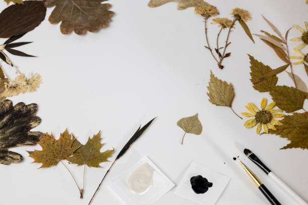 istock Handmade from leaves and paints. Preparations for frame craft from leaves with paints, brushes. Herbarium of dried different plants and flowers placed on paper. 2193384306