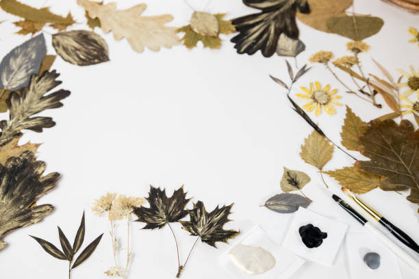 istock Handmade from leaves and paints. Preparations for frame craft from leaves with paints, brushes. Herbarium of dried different plants and flowers placed on paper. 2193384309