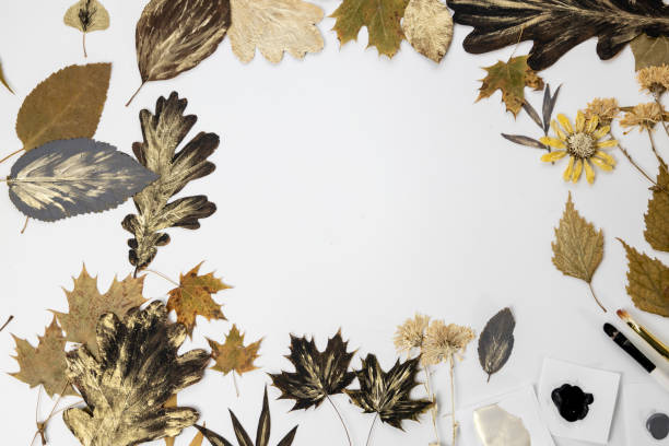 istock Handmade from leaves and paints. Preparations for frame craft from leaves with paints, brushes. Herbarium of dried different plants and flowers placed on paper. 2193384311