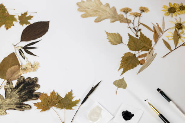 Handmade from leaves and paints. Preparations for frame craft from leaves with paints, brushes. Herbarium of dried different plants and flowers placed on paper.