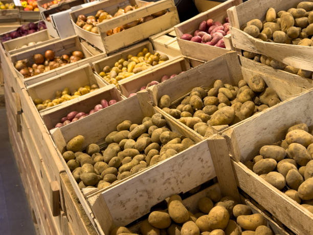 Freshly harvested potatoes displayed in wooden crates at a market during the day
