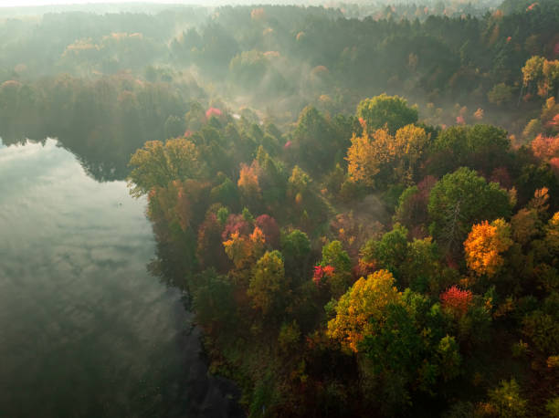 istock Misty forest and river in autumn at sunrise. 2193387441
