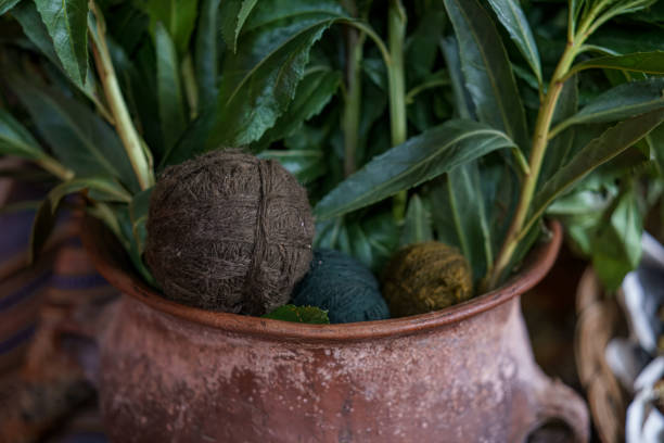 Artisanal textile dyeing process using natural plants in peru, showcasing traditional methods and vibrant colors