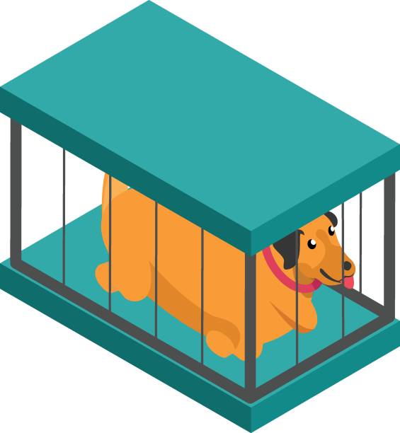 stray dog in cage isometric flat concept, Abandoned pets vector color icon design, Pet and Vet symbol, Animal Shelter sign, four legged friends stock illustration