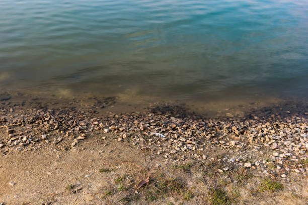 istock sea shore sand rock beach with clear green water horizontal water 2193393718