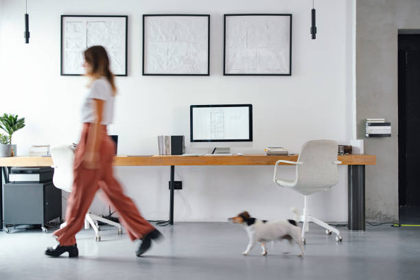Modern Design Studio With Woman and Dog in a Creative Environment