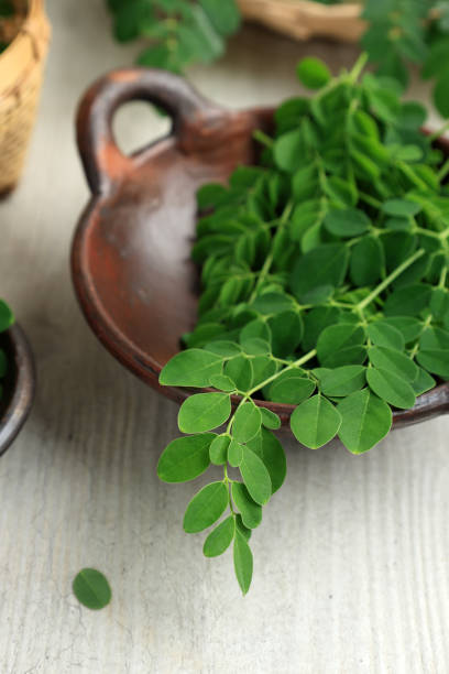 Fresh Moringa Leaves or Moringa Oleifera are the Next Superfood on Bamboo Plate