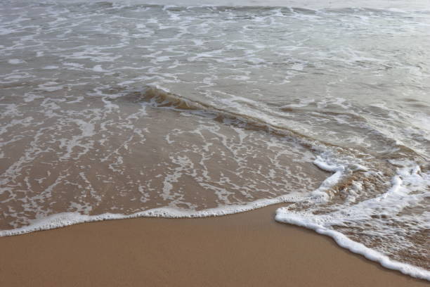 istock Sea waves crashing on beach. Ocean shore 2193401059