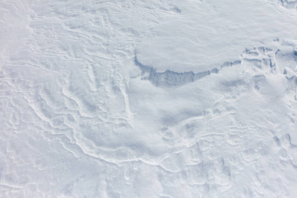 The snow is a bright white color and it covers the ground in a thick layer. The snow is so deep that it almost reaches the ground, creating a beautiful and serene winter landscape
