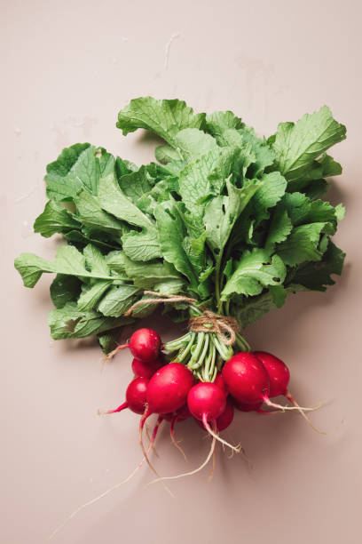 istock Bunch of red radish. 2193407905