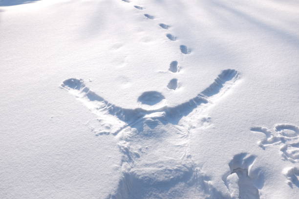 istock Walking through Sapporo in Hokkaido Street 2193409537