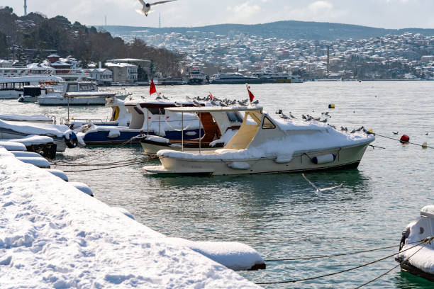 Winter in Istanbul: A snow-covered fishing boat, seagulls bird, and the Bosphorus view