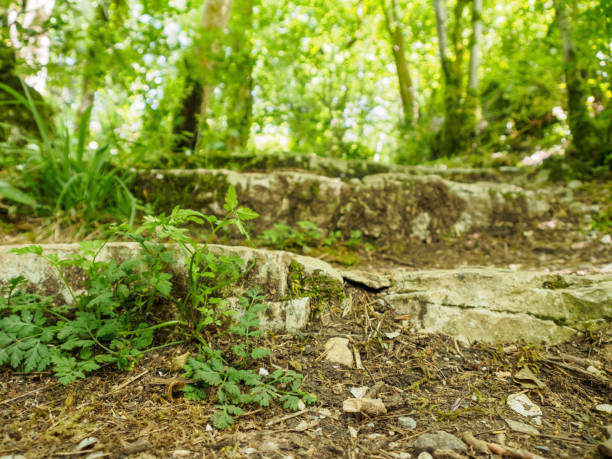 istock Sheer cliffs frame ancient ruins, reminiscent of past greatness, creating a mystical atmosphere and sense of time 2193411699