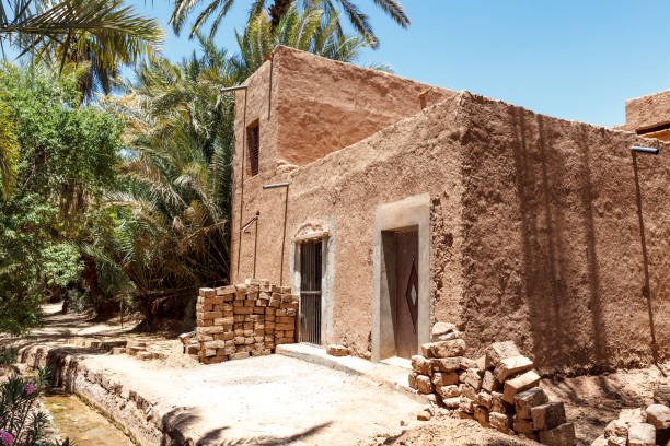 Oasis around Zagora village, Draa Valley, Morocco, Africa