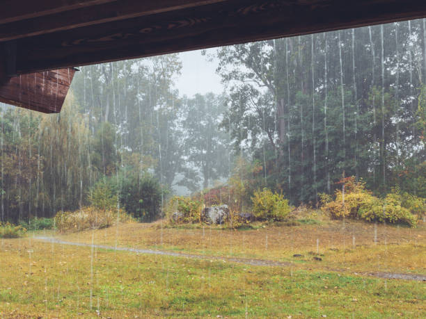 Shelter Under a Picnic Pavilion from the Pouring Spring Rain