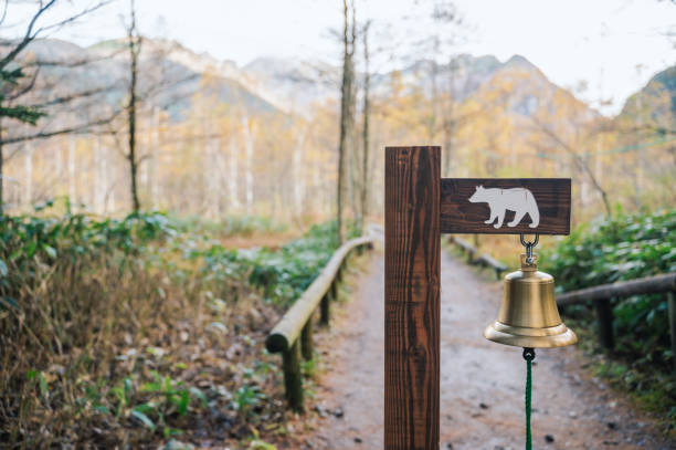 Beware of bears in Kamikochi nation park along foot path  to national landmark park Kamikochi in Autumn Japan