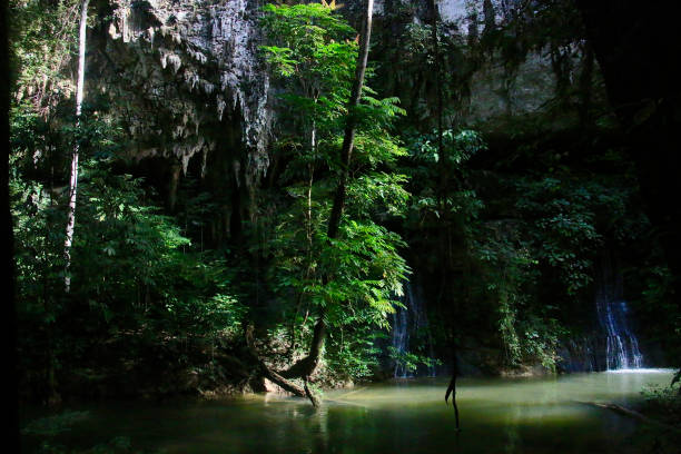 Quiet river in the Gunung Mulu National Park
