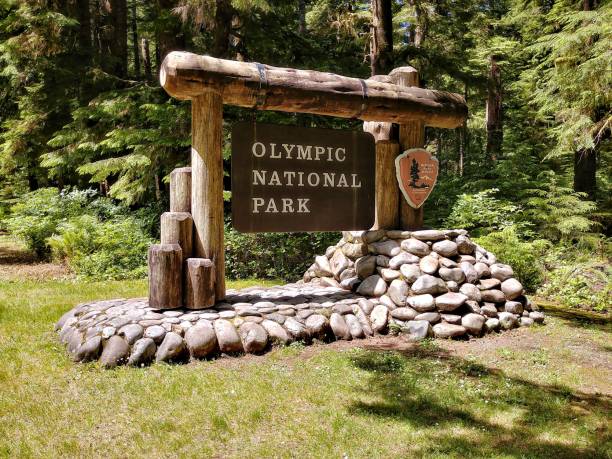 istock Olympic National Park Washington Welcome Sign 2193419349