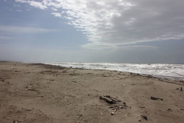 istock Wild Sea after Storm at Torre del Lago 2193422110