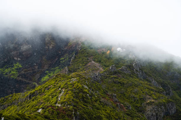 People are walking along a scenic route to Pico Ruivo, Madeira.