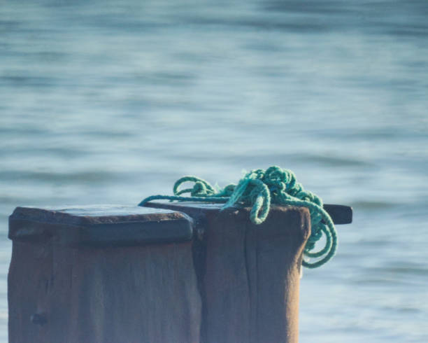 istock Green Rope on a Sea Groyne 2193425072