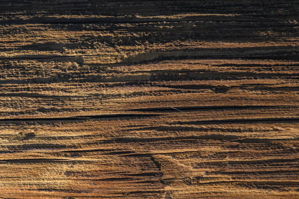 istock Textured wooden surface showcasing natural patterns illuminated by warm sunlight in a rustic setting 2193426217