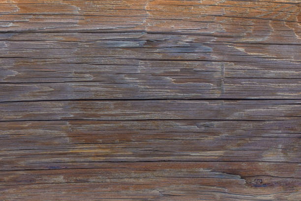 Rustic wooden surface showcasing natural textures and warm hues from a sunlit workshop environment