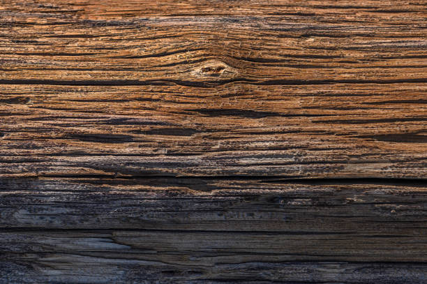 Close-up view of a rustic wooden surface highlighting intricate grains and natural patterns illuminated by sunlight.