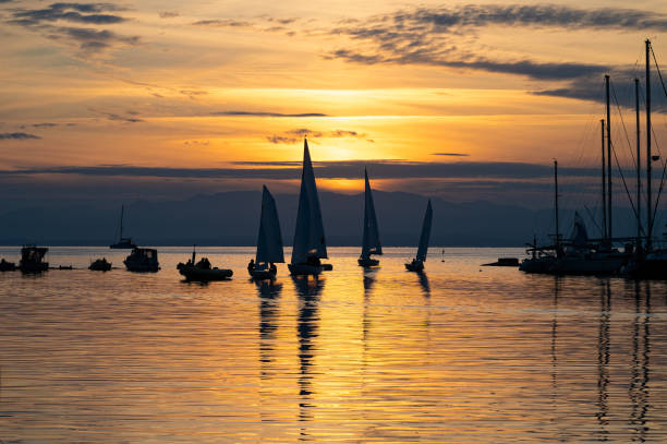 Silhouette of sailboat and seagulls on rocks