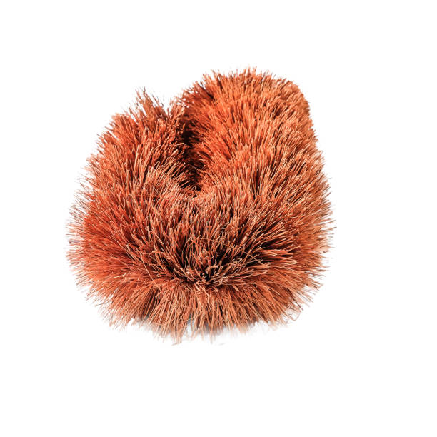istock coconut fiber is multi-functional, can be used as cleaning brushes. 2193431640