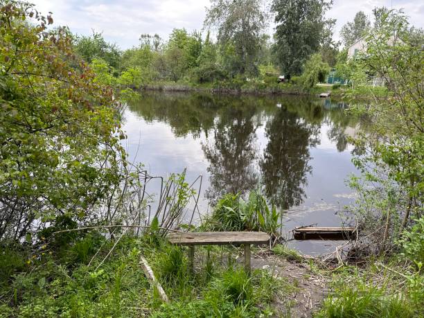 istock A calm lake with trees around and a bench in the foreground 2193431917