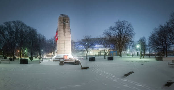 istock Windsor Ontario City Hall During a Winter Snowfall 2193433910