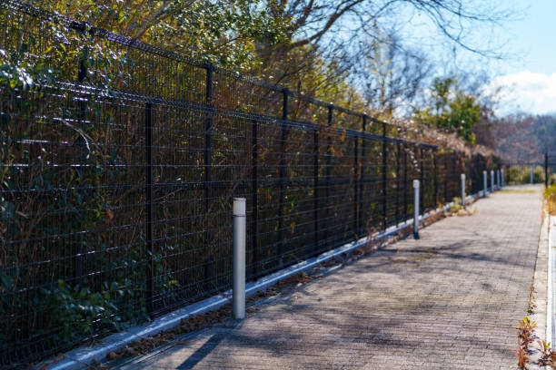 istock A Serene Urban Roadscape Under the Clear Blue Sky 2193434089