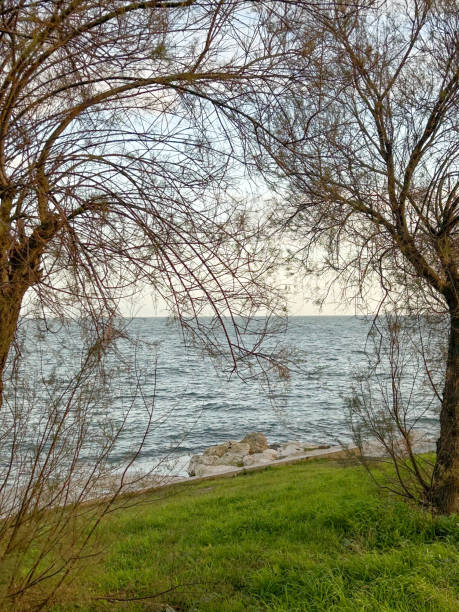istock A serene spring view of Istanbul s shoreline framed by bare tree branches, vibrant green grass, and the shimmering waves of the sea under daylight 2193434141