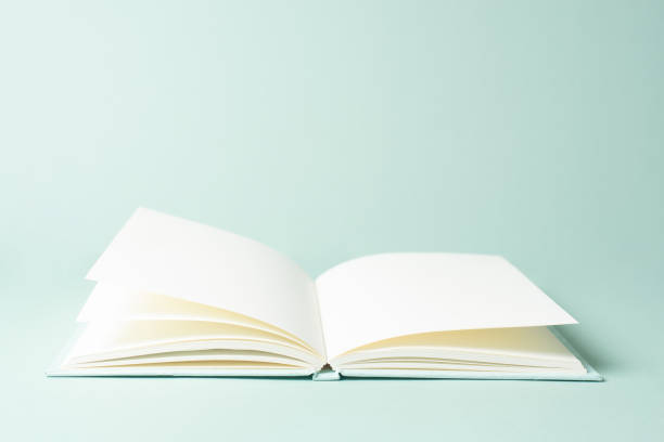 istock Education, knowledge and skill learning with literature, open book, reading a story, empty page 2193434534