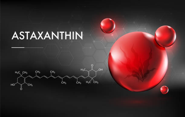 Red Astaxanthin Molecule and Seaweed Illustration This image features a visually striking representation of astaxanthin, a powerful antioxidant commonly derived from algae and seafood. The composition includes glossy red molecular capsules, symbolizing the compound, paired with a detailed chemical structure of astaxanthin in the background. The dark gradient backdrop adds depth and sophistication, emphasizing the vibrant red tones and creating a scientific, modern aesthetic. Ideal for use in health, nutrition, skincare, or scientific research themes, this image conveys innovation, wellness, and bioactive properties, appealing to industries focused on antioxidants and natural health solutions. vitamin c chemical formula stock illustrations