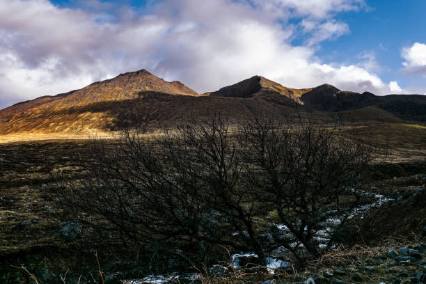 istock In a tranquil setting, mountains rise against the sky, illuminated by soft evening light. A stark, leafless tree stands in the foreground, enhancing the serene atmosphere. 2193438776