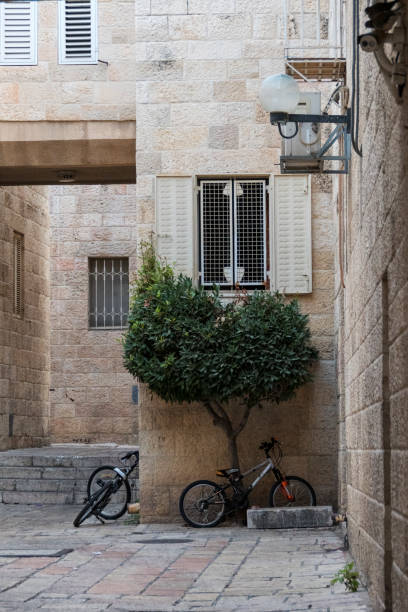 Valencia, Spain - January 25, 2024: Parked bicycles in the street for public use. The city government offers them for use free of charge