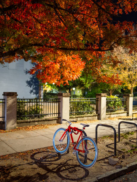 Red bicycle on an autrumn street under the fall colors. High quality photo