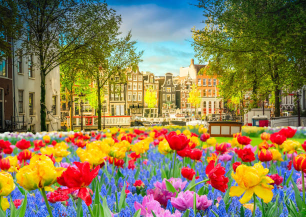 istock Houses of Amstardam, Netherlands 2193442465