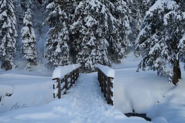 istock Snow covered bridge over the Lanzenbach creek 2193443587