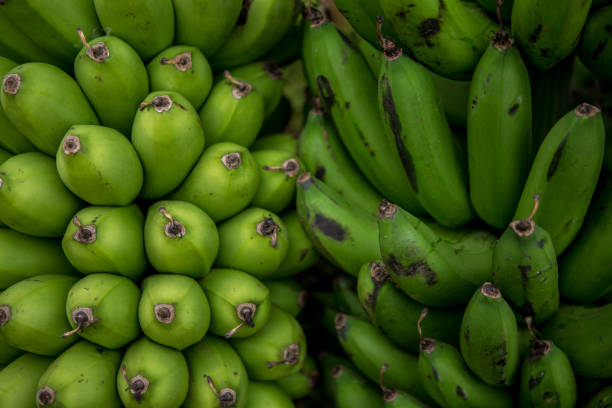 Fresh banana yellow background in the fruit market.